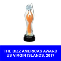 Bizz Award